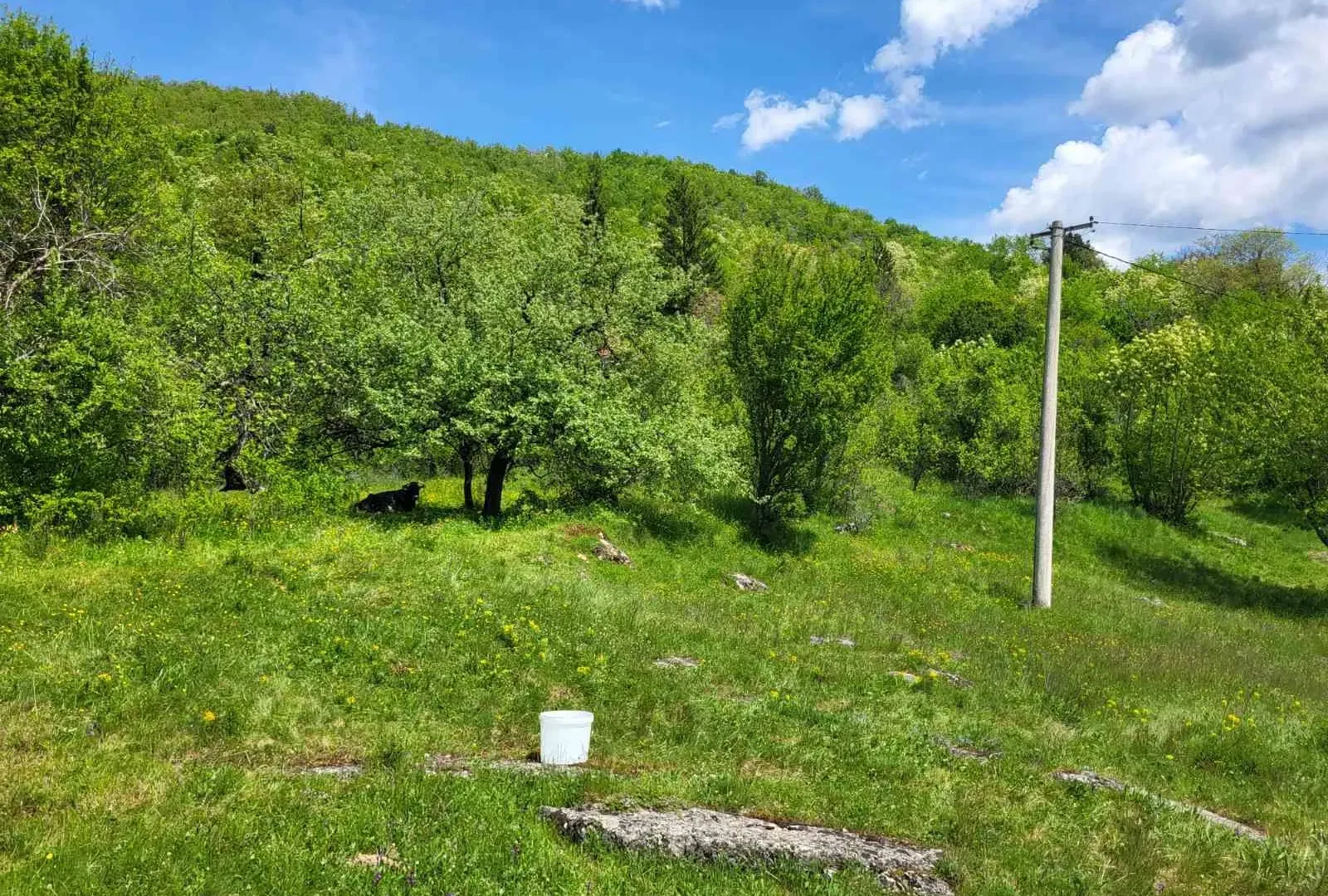 Prodaja, plac, 160000m², Nikšić, Crna Gora