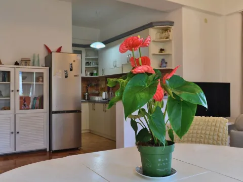 Prodaja, dvosoban stan, 65m², Maine, Budva - image 2