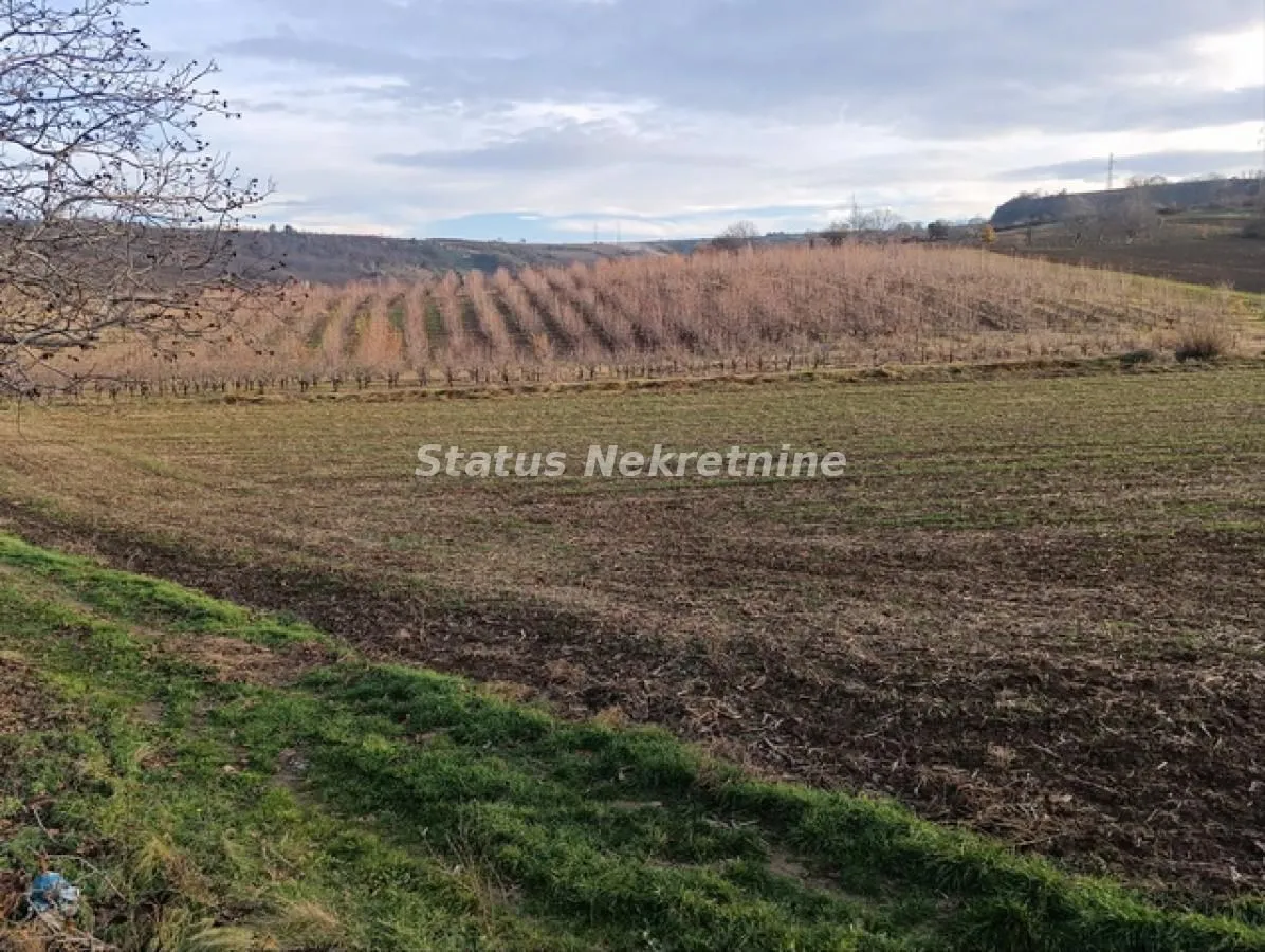 Prodaja, plac, 322m², Sremski Karlovci, Novi Sad
