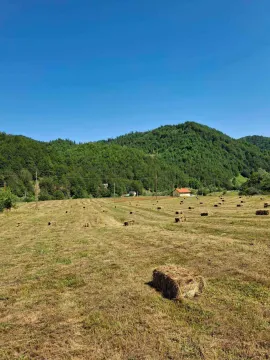 Prodaja, plac, 7000m², Veruša, Podgorica - image 4
