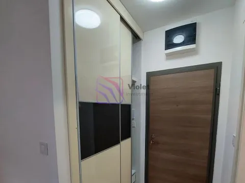 Rent, one bedroom apartment, 45m², Zabjelo, Podgorica - image 3