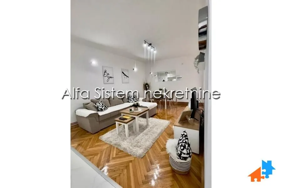 Izdavanje, dvosoban stan, 47m², Vračar Sve Podlokacije, Beograd