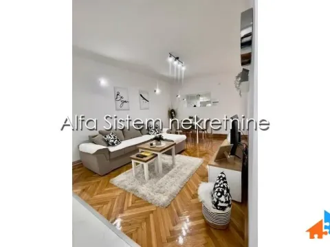 Izdavanje, dvosoban stan, 47m², Vračar Sve Podlokacije, Beograd - image 5
