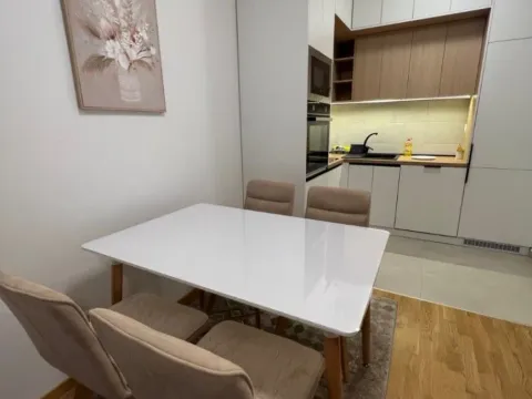 Izdavanje, jednosoban stan, 51m², Ljubović, Podgorica - image 9