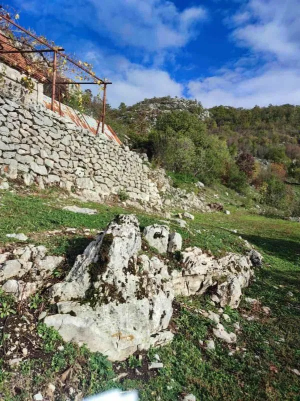 Prodaja, plac, 26000m², Cetinje, Crna Gora