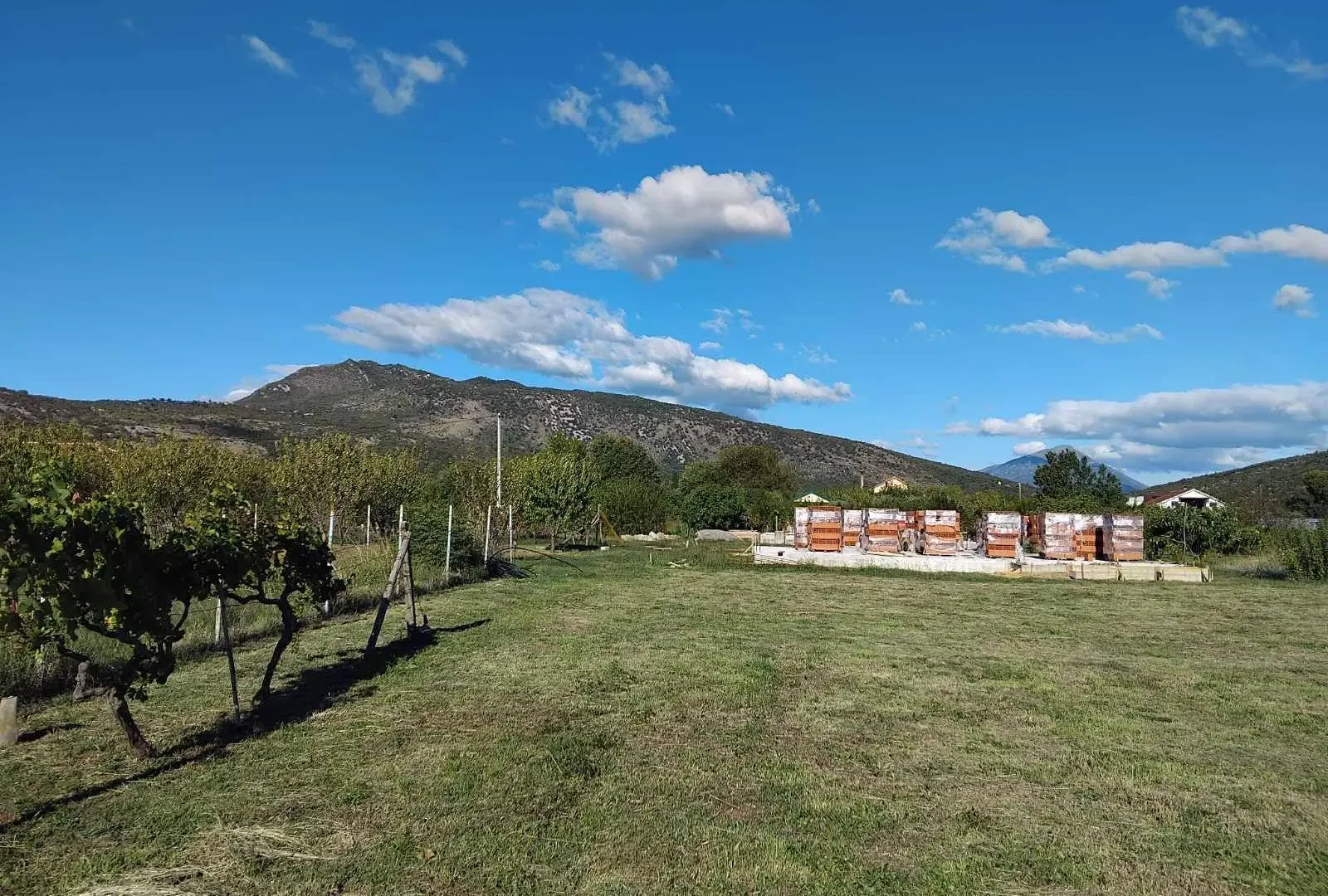 Prodaja, plac, 1520m², Beri, Podgorica