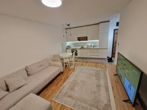 Izdavanje, jednosoban stan, 41m², Detelinara, Novi Sad Sve Podlokacije - image 2