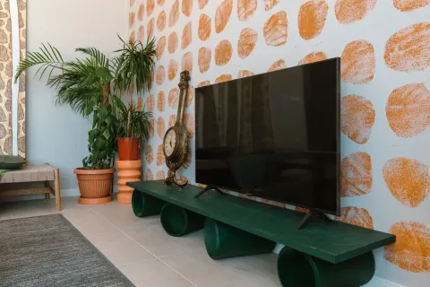 Dnevna soba sa televizorom, dekorativnim zidom i sobnim biljkama. - image 8