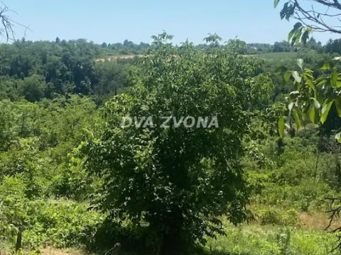 Prodaja, plac, 2000m², Čortanovci, Inđija - image 2