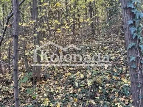 Sale, land lot, 8235m², Babe, Sopot - image 5