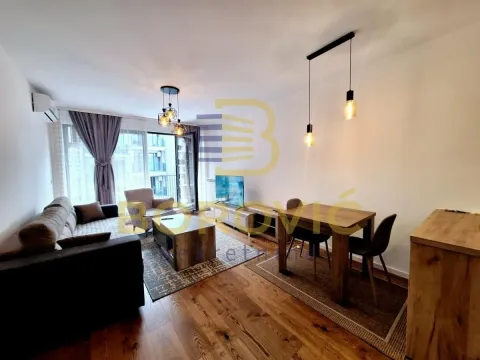 Izdavanje, dvosoban stan, 67m², Višnjička Banja, Palilula Sve Podlokacije - image 1