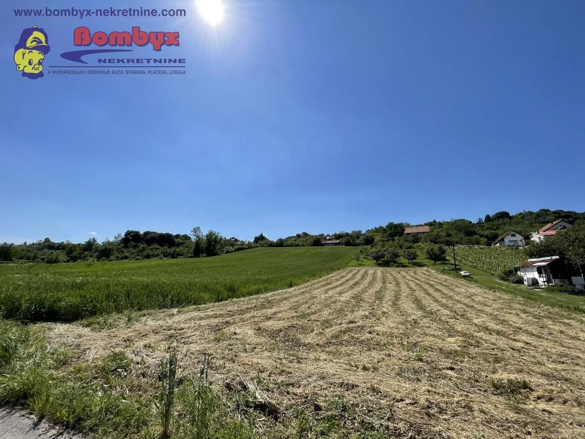 Sale, land lot, 1700m², Sremska Kamenica, Petrovaradin