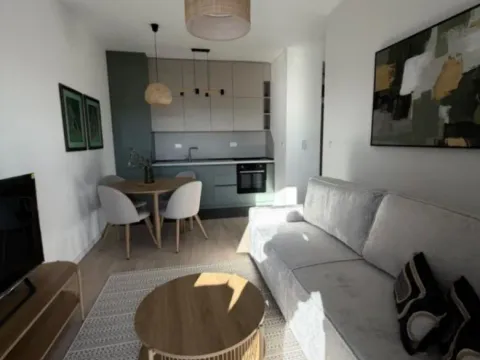 Izdavanje, jednosoban stan, 40m², Tološi, Podgorica - image 4