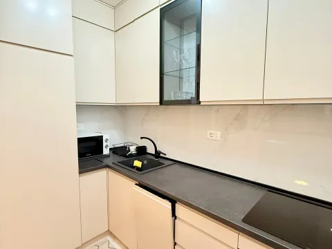 Rent, one bedroom apartment, 49m², Central Point, Podgorica - image 3
