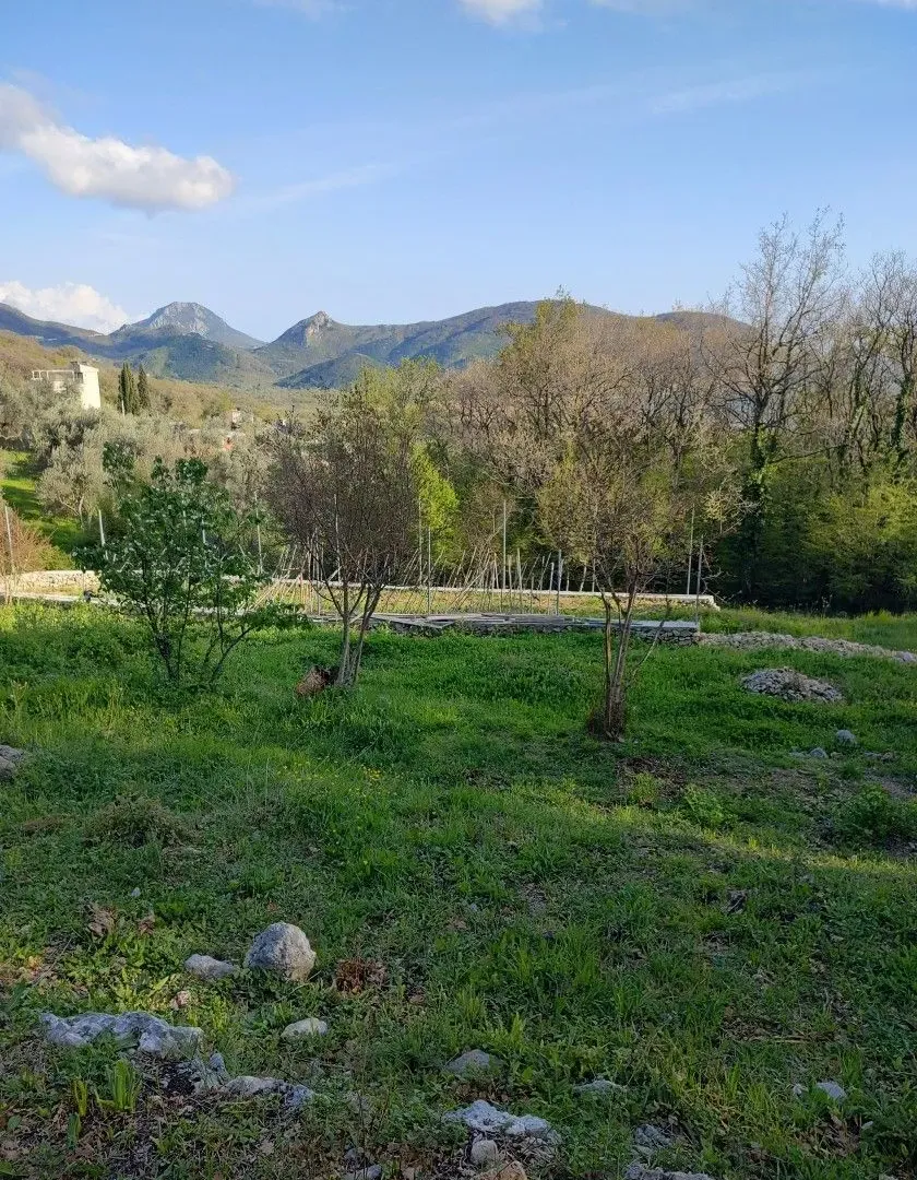 Prodaja, plac, 2000m², Budva, Crna Gora