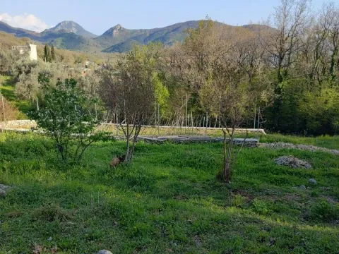 Prodaja, plac, 2000m², Budva, Crna Gora - image 8