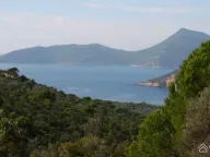 Sale, land lot, 6500m², Žanjić, Herceg Novi - image 2