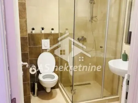 Izdavanje, dvosoban stan, 43m², Botanička Bašta, Palilula Sve Podlokacije - image 12