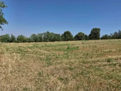 Sale, land lot, 10800m², Baničina, Smederevska Palanka - image 10