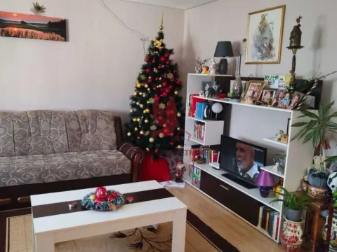 Prodaja, trosoban stan, 69m², Mladenovac, Beograd - image 13