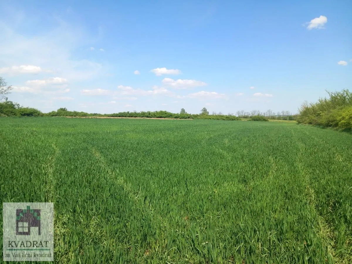 Prodaja, plac, 7600m², Obrenovac, Beograd