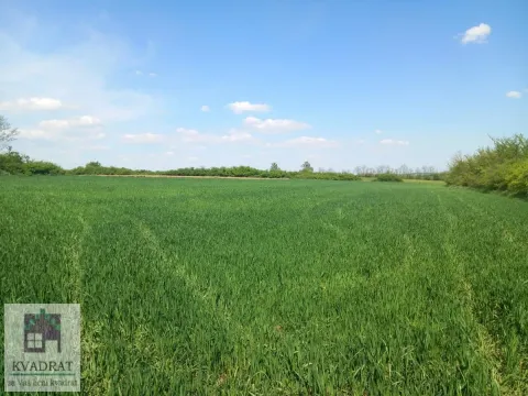 Prodaja, plac, 7600m², Obrenovac, Beograd - image 4