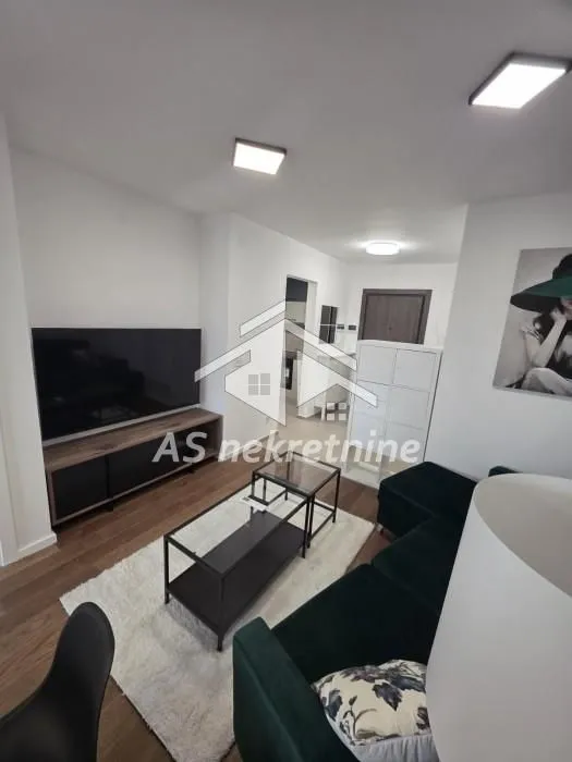 Izdavanje, stan, 40m², Hala Pionir, Palilula Sve Podlokacije