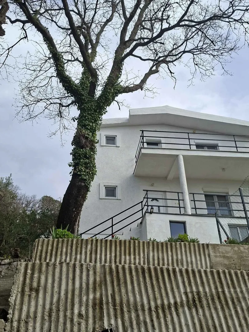 Pogled na bijelu kuću sa terasama i velikim stablom u dvorištu.