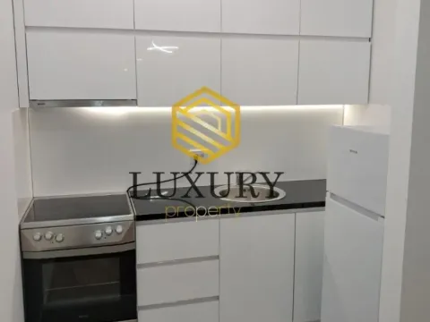 Rent, apartment, 42m², Zabjelo, Podgorica - image 7