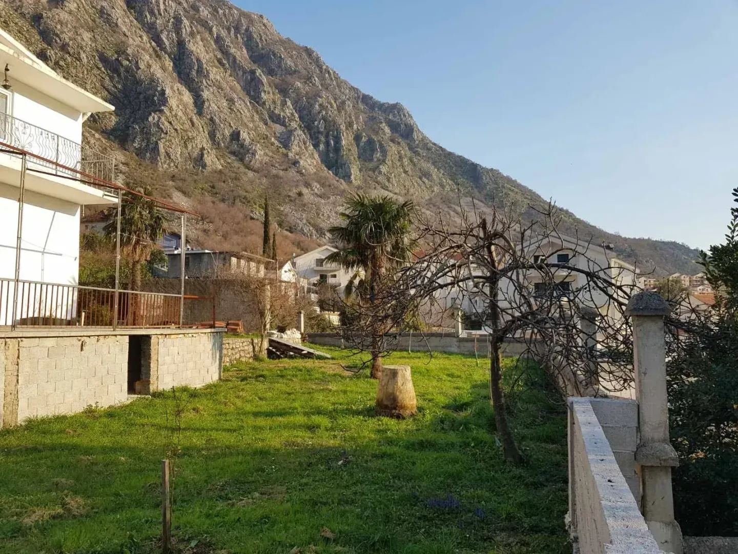 View of the grassy yard and surrounding houses at the foot of the mountain.