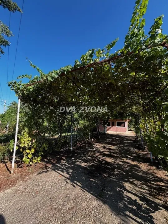 Sale, house, 18m², Čortanovci, Inđija