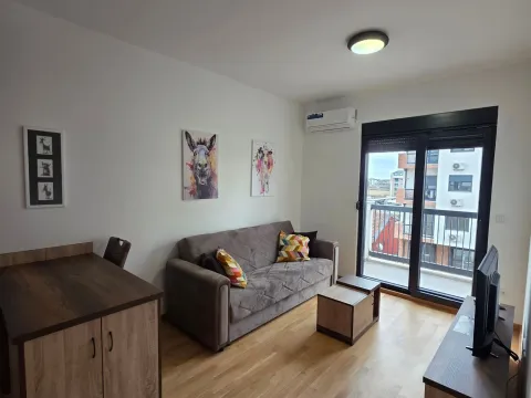 Izdavanje, stan, 37m², Zabjelo, Podgorica - image 4