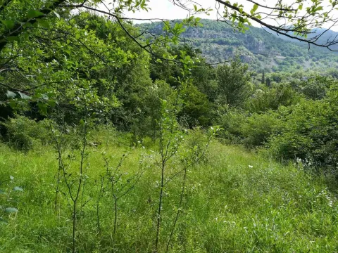 Prodaja,  zemljište, 9142m2, Danilovgrad