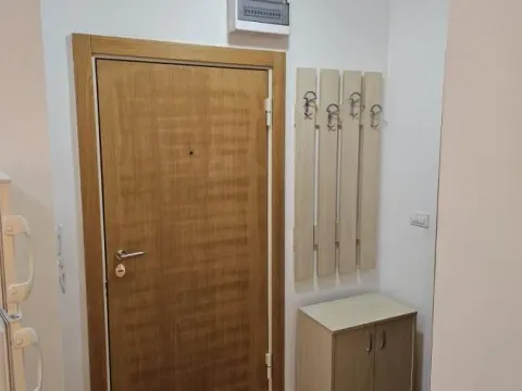 Izdavanje, jednosoban stan, 44m², Kej, Novi Sad Sve Podlokacije - image 11