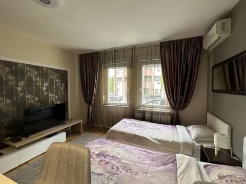 Rent, one bedroom apartment, 25m², Vračar Sve Podlokacije, Beograd - image 5