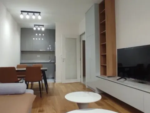 Izdavanje, jednosoban stan, 47m², Central Point, Podgorica - image 2