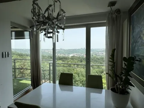 Sale, apartment, 270m², Stari Košutnjak, Rakovica - image 13