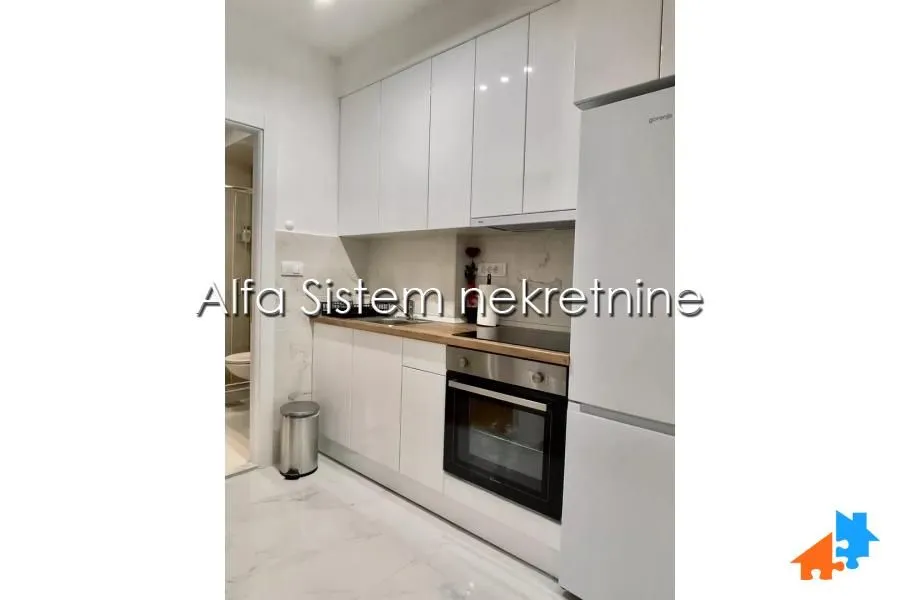 Izdavanje, dvosoban stan, 47m², Vračar Sve Podlokacije, Beograd