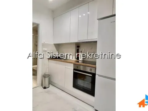 Izdavanje, dvosoban stan, 47m², Vračar Sve Podlokacije, Beograd - image 8