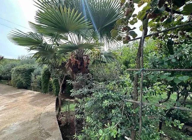 Izdavanje, kuća, 94m², Mareza, Podgorica