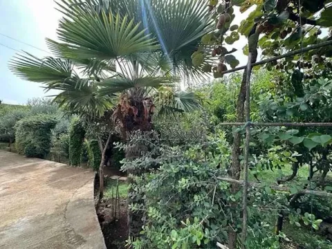 Rent, house, 94m², Mareza, Podgorica - image 10