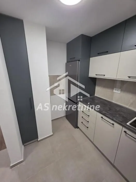 Izdavanje, stan, 40m², Hala Pionir, Palilula Sve Podlokacije