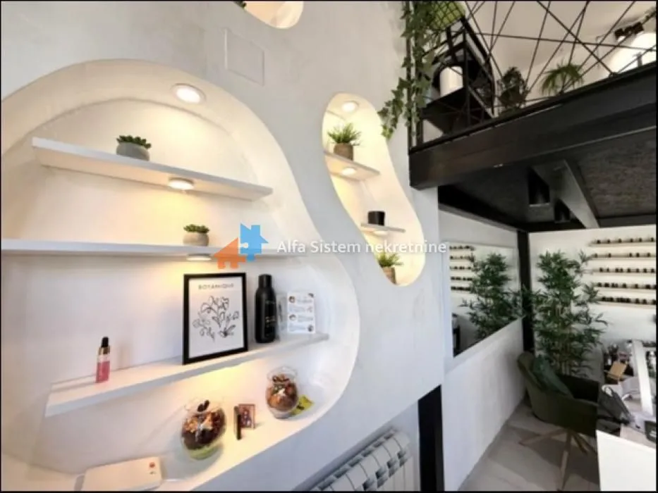 Rent, office space, 62m², Višnjička Banja, Palilula Sve Podlokacije