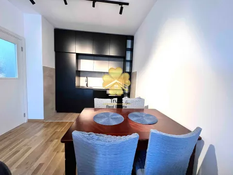 Izdavanje, jednosoban stan, 48m², Stari Aerodrom, Podgorica - image 3