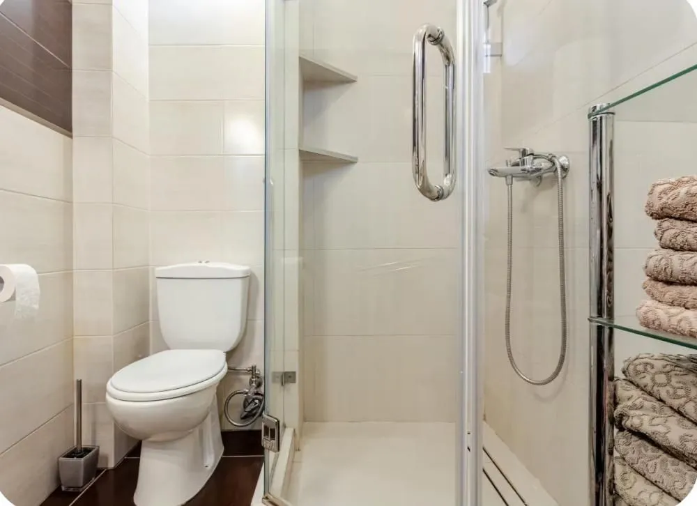 Bathroom equipped with a shower cabin, toilet, and shelves with towels.