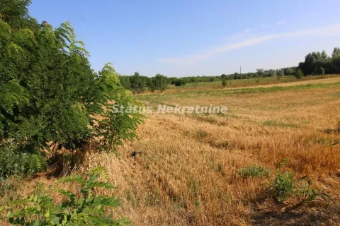 Sale, land lot, 6396m², Šangaj, Novi Sad Sve Podlokacije - image 8