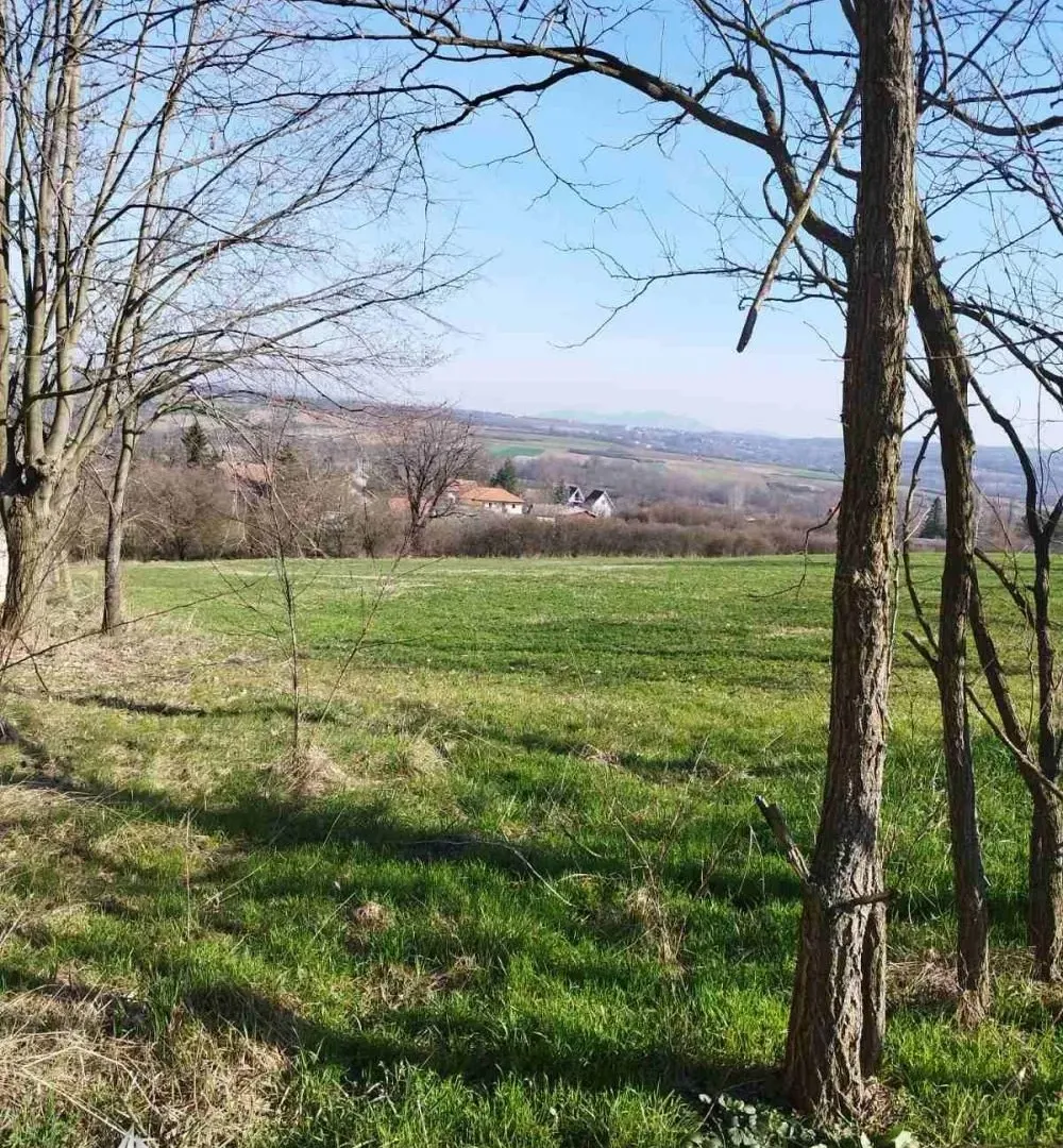 Prodaja, plac, 4141m², Veliki Borak, Barajevo