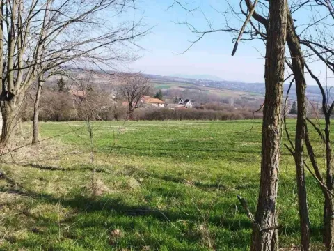 Prodaja, plac, 4141m², Veliki Borak, Barajevo - image 3