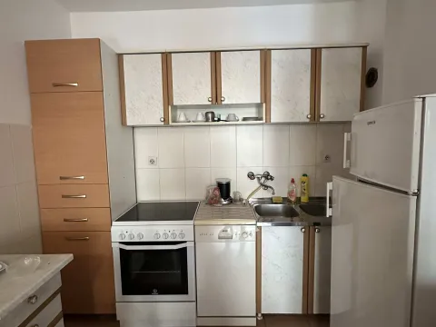Rent, one bedroom apartment, 45m², Zagorič, Podgorica - image 2
