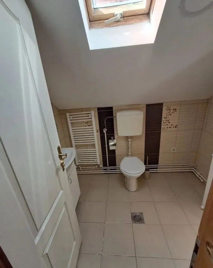Manje kupatilo sa WC šoljom, umivaonikom i krovnim prozorom.